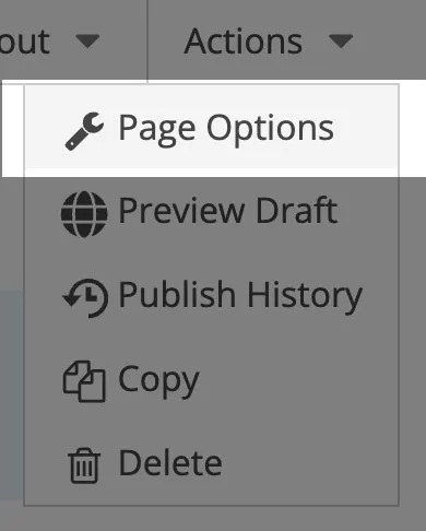 Actions Menu to Page Options