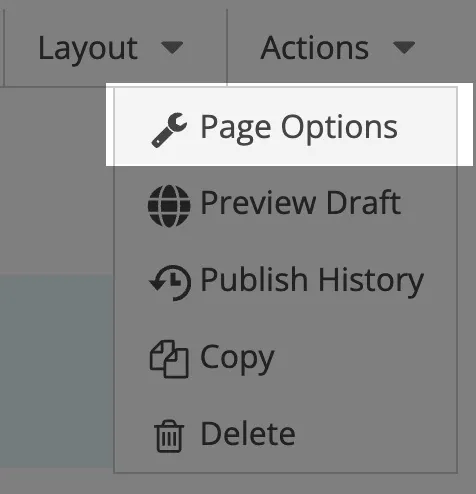 Page Options menu item